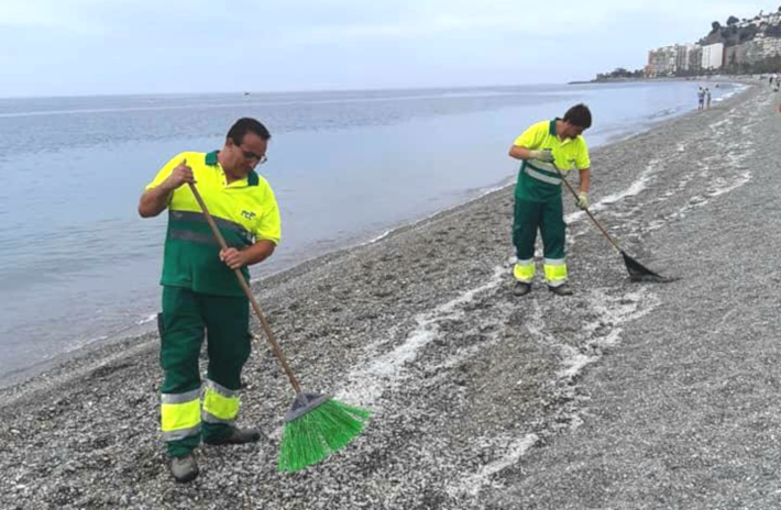 Operarios de la limpieza de playas se afanan por retirar las Salpas aparecidas das atrs en la orilla.